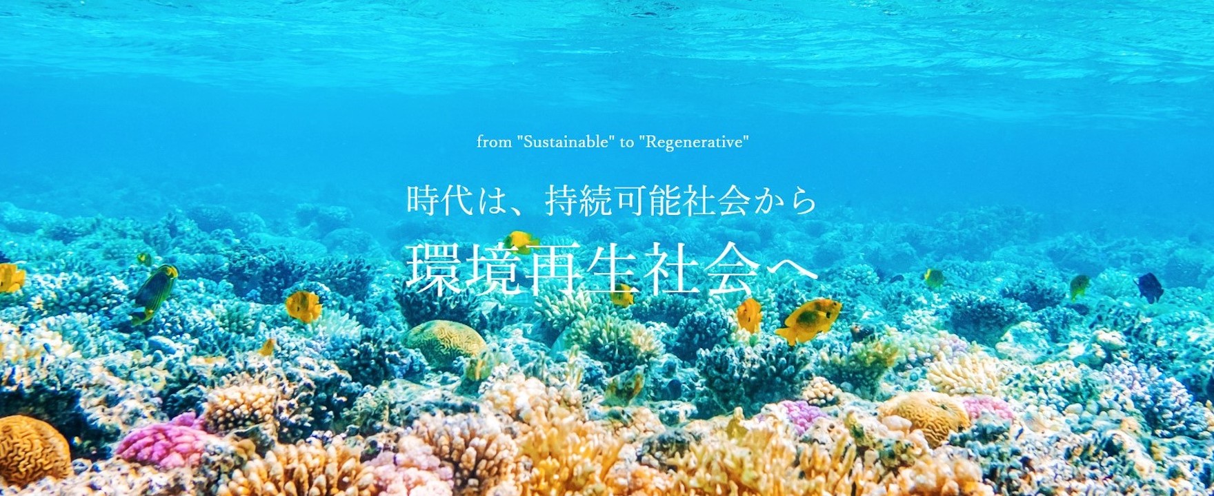 株式会社IMAI企画